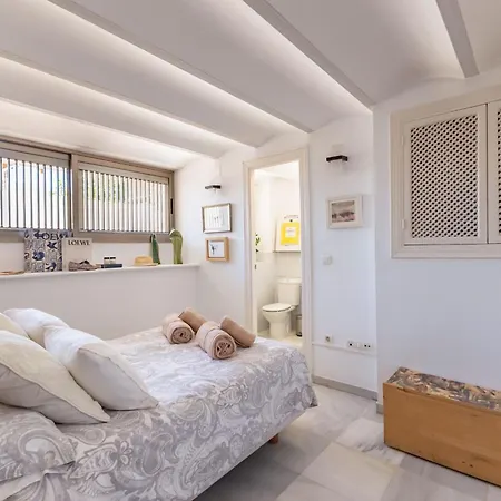 Apartment Charming 2 Bedroom Boutique Triplex With Private Terrace At Center By Ocityzen Seville